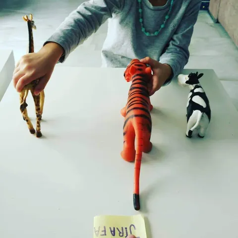 Actividad de discriminación con figuras de animales